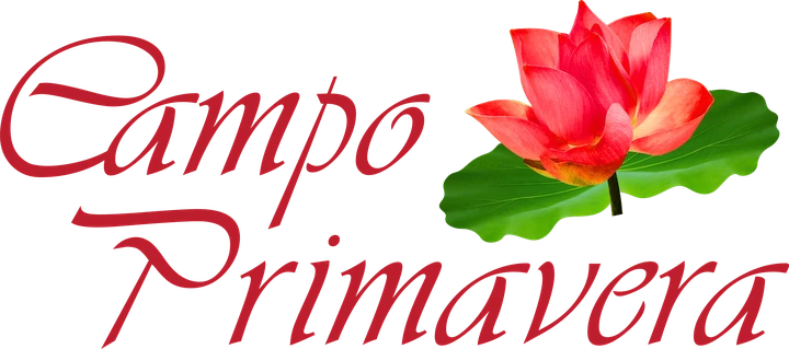 Campo Primavera