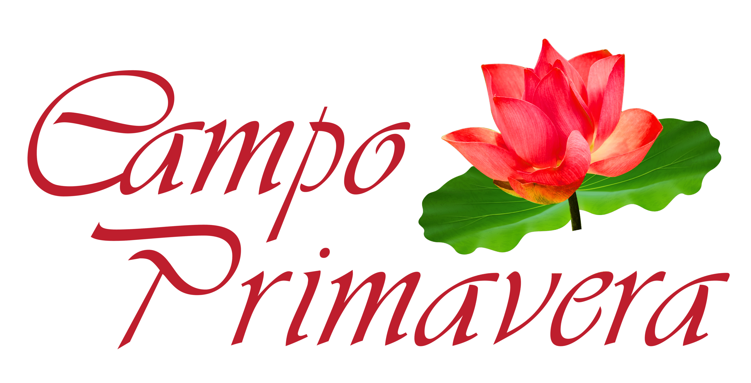 cprimavera.com